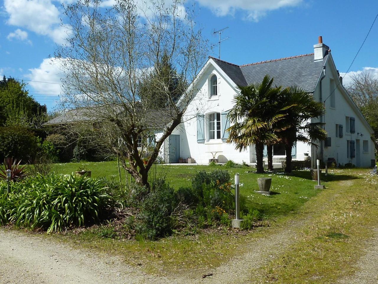 Paradis Clohars-Carnoët Extérieur photo